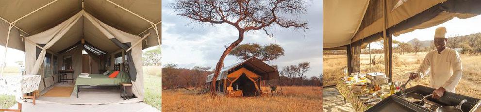 Tented Camp,