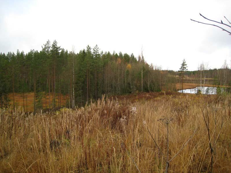 Eteläinen selvitysalue Eteläinen selvitysalue on maastonmuodoiltaan pohjoista huomattavasti tasaisempi. Metsät ovat käsiteltyjä ja hakkuita sekä taimikoita esiintyy lukuisia.