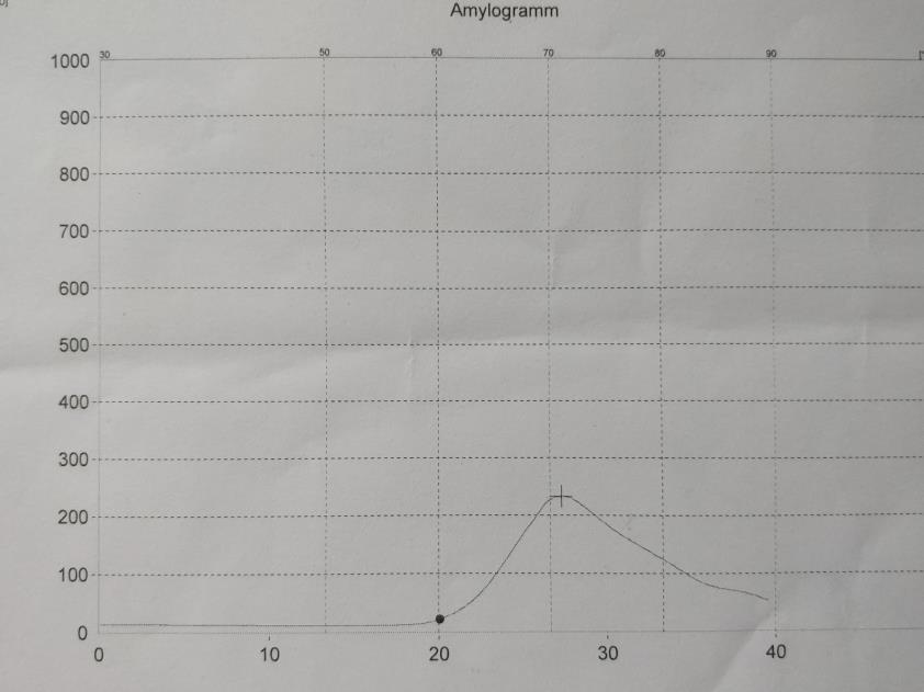 11 Kuva 6 Amylogrammi, joka kuvaa viskositeettia ajan ja lämpötilan suhteen. Aika on kuvaajan alareunassa, lämpötila yläreunassa sekä viskositeetti vasemmalla.