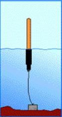 Viittaapoiju on enintään 7 metriä pitkä (josta suurin osa veden alla) ja sen läpimitta on 225 tai 355 mm. On vaikeaa löytää Viittapoijulla on aina valotunviittapoijun symbolia nus.