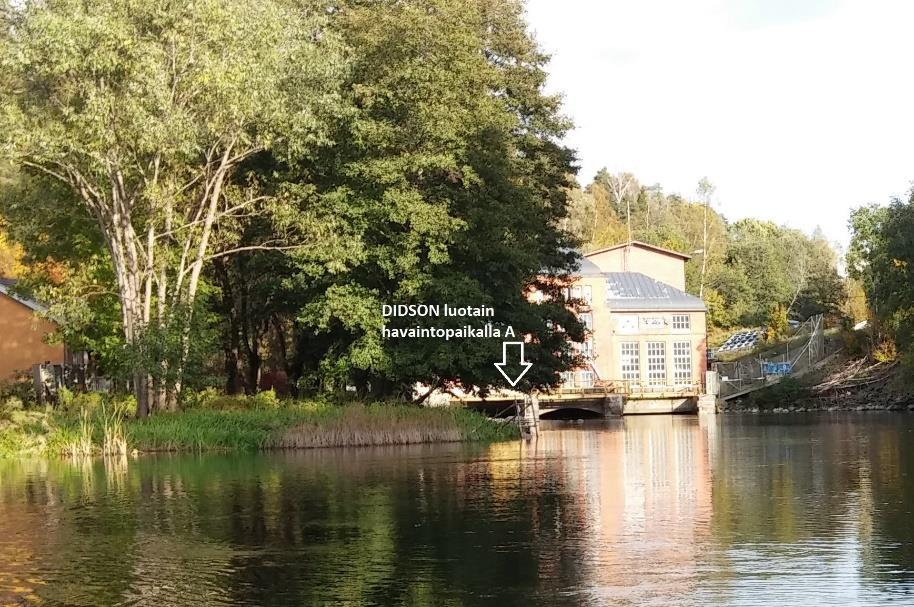 Åminneforsin voimalaitoksen alapuolella alavetenä on merivesi, joten vedenkorkeus kohteessa vaihtelee merkittävästi.