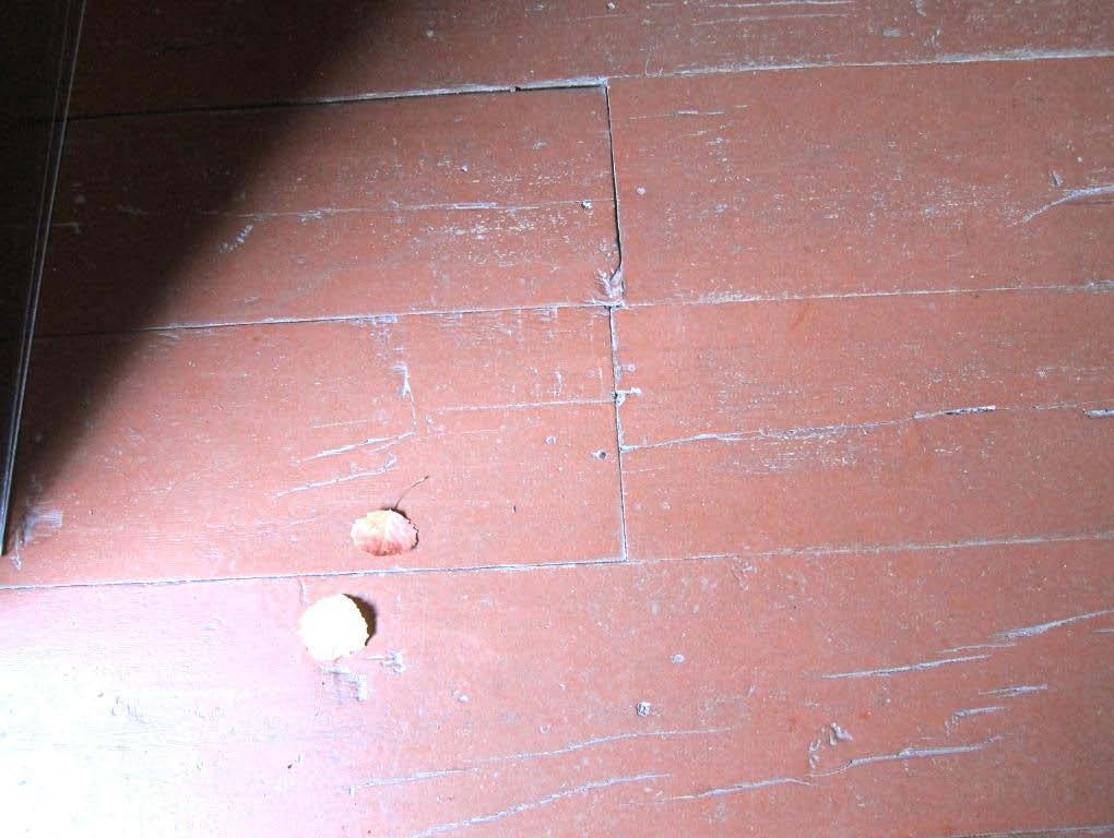 Eteisen lattialankkujen kunnostus ja pintakäsittely Lattialankuissa ollut punainen maali on ajoitettu 1960-luvulle ja se on tutkimuksien perusteella todettu muovisideaineiseksi maaliksi.