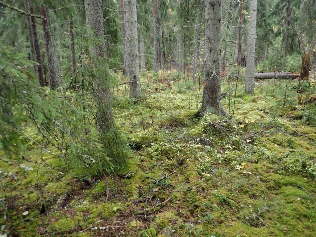 1 Nurmijärvi Perttula Röykkä -