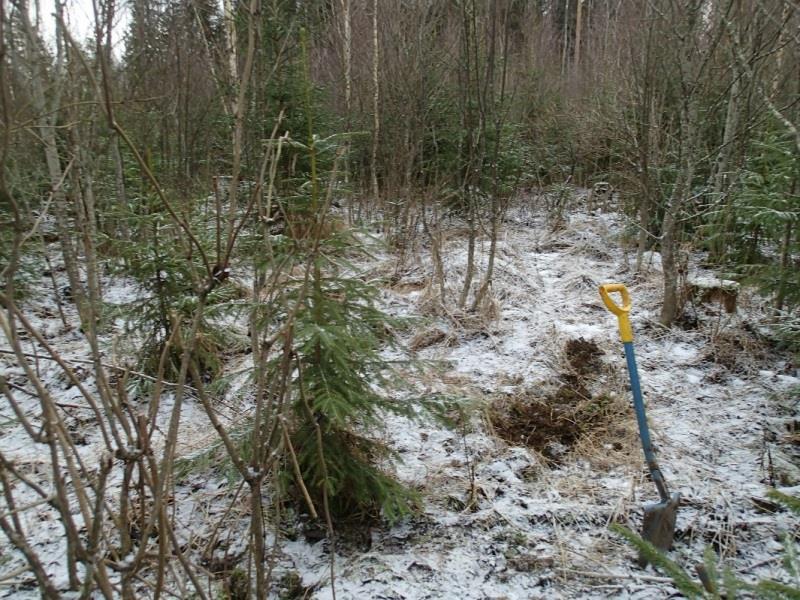 10 Voimajohtolinjan eri vaihtoehtojen kohdalle osuu yksi entuudestaan tunnettu kiinteä muinaisjäännös.