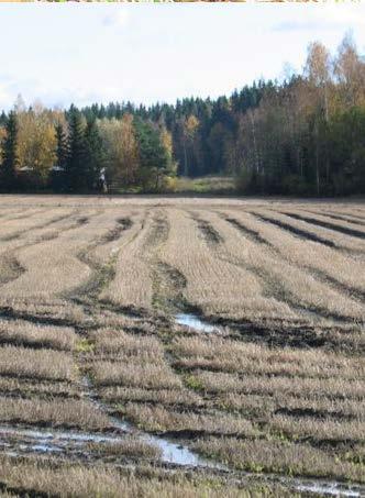 Peltomaan kasvukunnon tekijät Viljelytoimenpiteet Maan tiivistymisen ehkäisy Muokkaustapa ja ajoitus Voimakas, toistuva muokkaus haittaa lieroja ja rihmamaisia sieniä