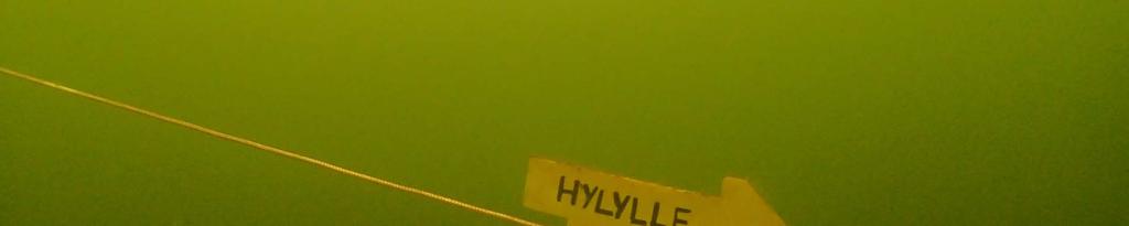 Baltacar edistää vastuullista hylkysukeltamista Muinsuskaitseamet (Viron museovirasto), Suomen Museovirasto, Ruotsin Merihistoriallinen museo, sukelluskoulu Adrianto Oy Virosta, Varuste.