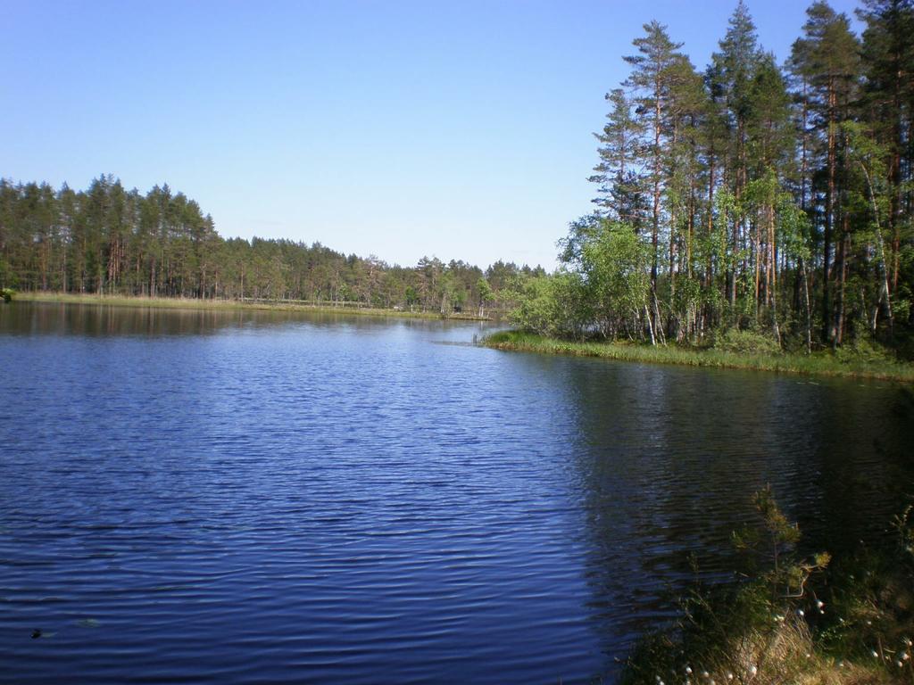 Kirkaslampi,