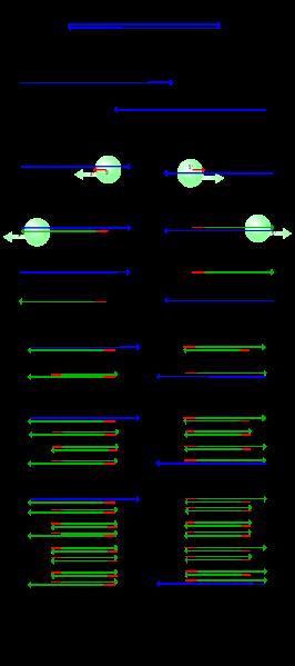 PCR-rautalankamalli 1. Kuumennus (+95 C ) DNA-juosteet erkanevat 2.