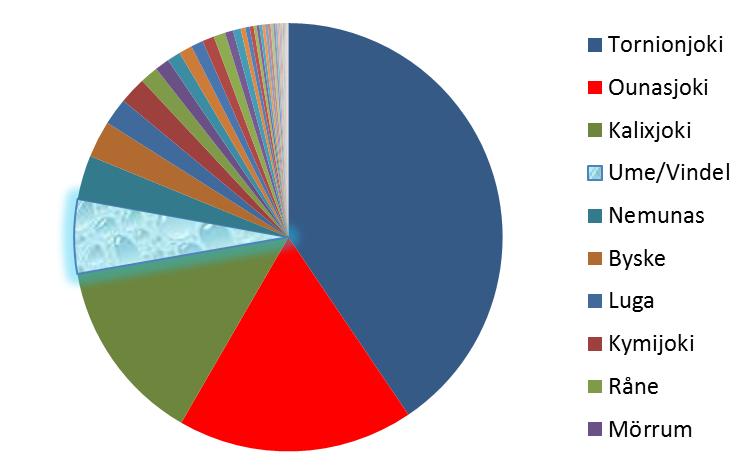 Ume/Vindeljoen yksi voimalaitospato 15% alasvaellustappiot smolteilla 60-70% ylösvaellustappiot kutulohilla 1770 ha