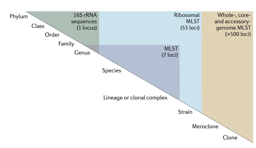 MLST-pohjaiset menetelmät Maiden, M. C. J. et al. MLST revisited: the gene-by-gene approach to bacterial genomics.