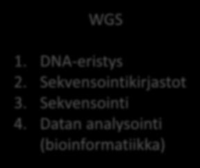 Serotyyppi Resistenssi Genotyyppi & kantavertailu WGS 1. DNA-eristys 2.