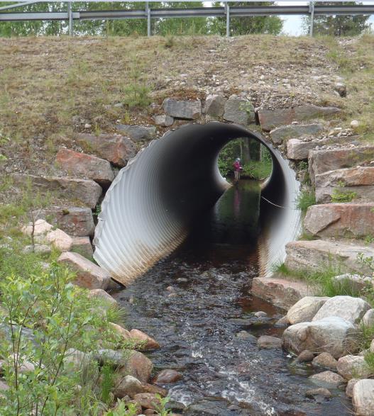 hyönteiset eivät mene pitkään