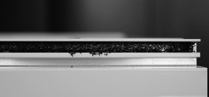Stor förekomst av insekter leder till ansamling av insekter mellan fönsterglasen.