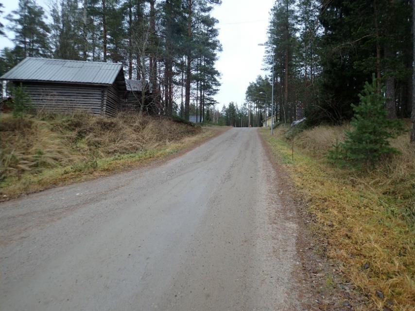Suunnitellun rakennuspaikan 301 AO itälaitaa. Länteen.