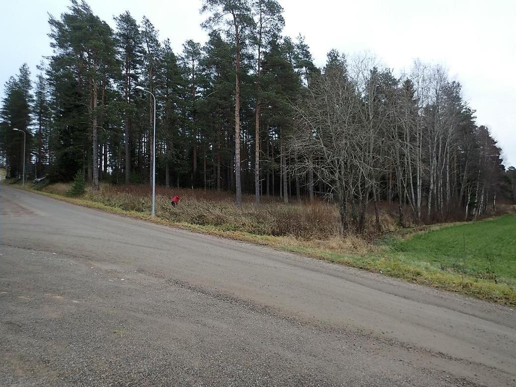 6 Suunniteltu rakennuspaikka 301 AO sijoittuu tien taakse, pellon vasemmalle puolelle. Itäkaakkoon.