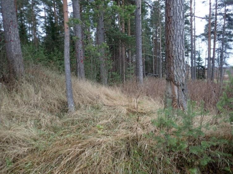 Esimerkiksi koekuopan 25 kohdalla sekoittuneet maat jatkuivat vähintään 90 cm syvyyteen kuoppaa ei tutkittu tämän syvemmälle.