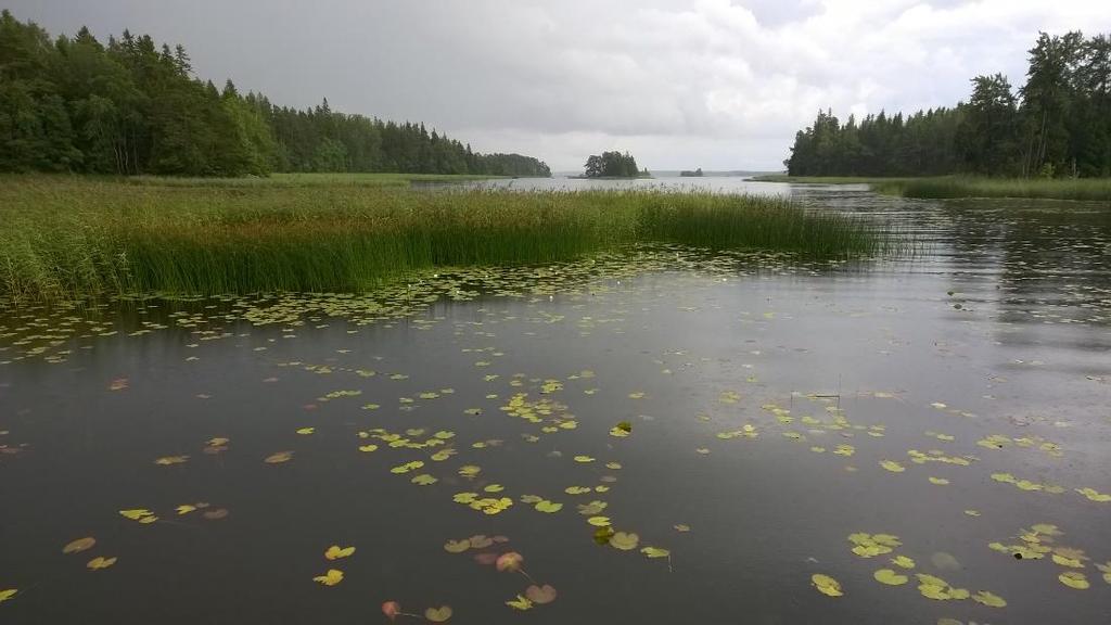 Ulappa ja merijää Perämeren ulappa Merijää