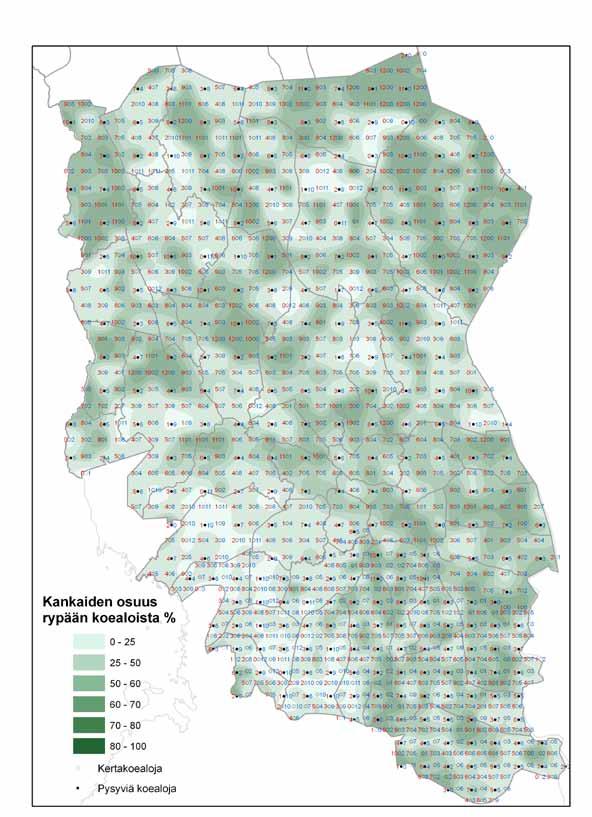 Kuva 2. VMI10:n maastonäytteen spatiaalinen rakenne tutkimusalueella.