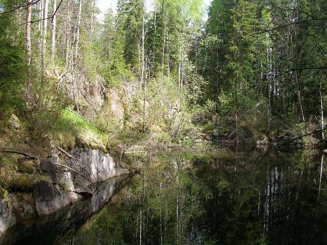 9 Kuva 3. Salmijärven vanha kalkkikivilouhos, jonka pituus on noin 70 m ja leveys 25 m. Vettä montussa on muutama metri. SUORITETUT TUTKIMUKSET 2.1.