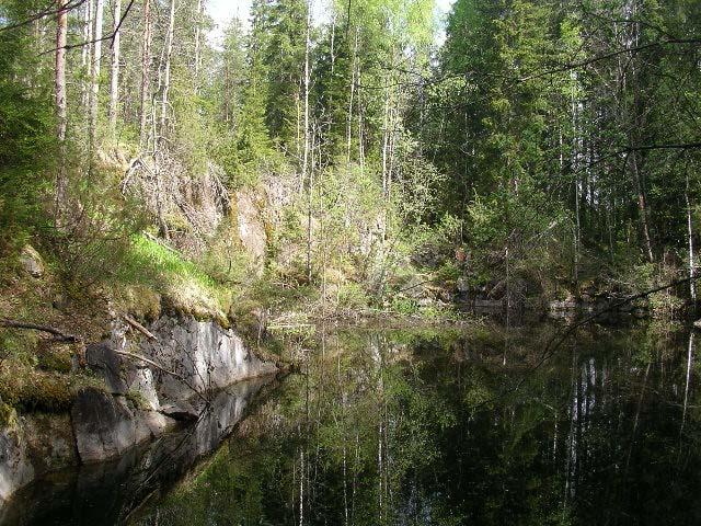 9 Kuva 3. Salmijärven vanha kalkkikivilouhos, jonka pituus on noin 70 m ja leveys 25 m. Vettä montussa on muutama metri. SUORITETUT TUTKIMUKSET 2.1.