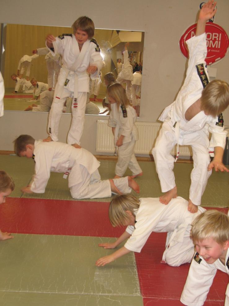 4. Harrastejudovaliokunnan alainen toiminta Harrastejudovaliokuntaan kuuluvat aluetoiminta, koulutus-, lasten ja nuorten judon-, sovelletun judon-, kuntojudon työryhmät sekä Dan-kollegion yhteistyö.