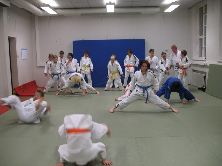 Sovelletun judon työryhmä kävi kokouksia aina leirien yhteydessä sekä sähköpostitse. Harrastejudovaliokunnan puheenjohtajana toimi Henry Lipponen. 4.1.