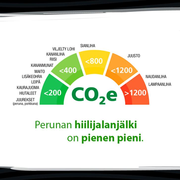 terveellinen) ajanviete ja hauskanpito, ilmapiiri rahalle saatu vastine,