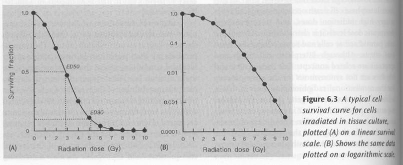 1960-luvulla huomattiin Basic Clinical