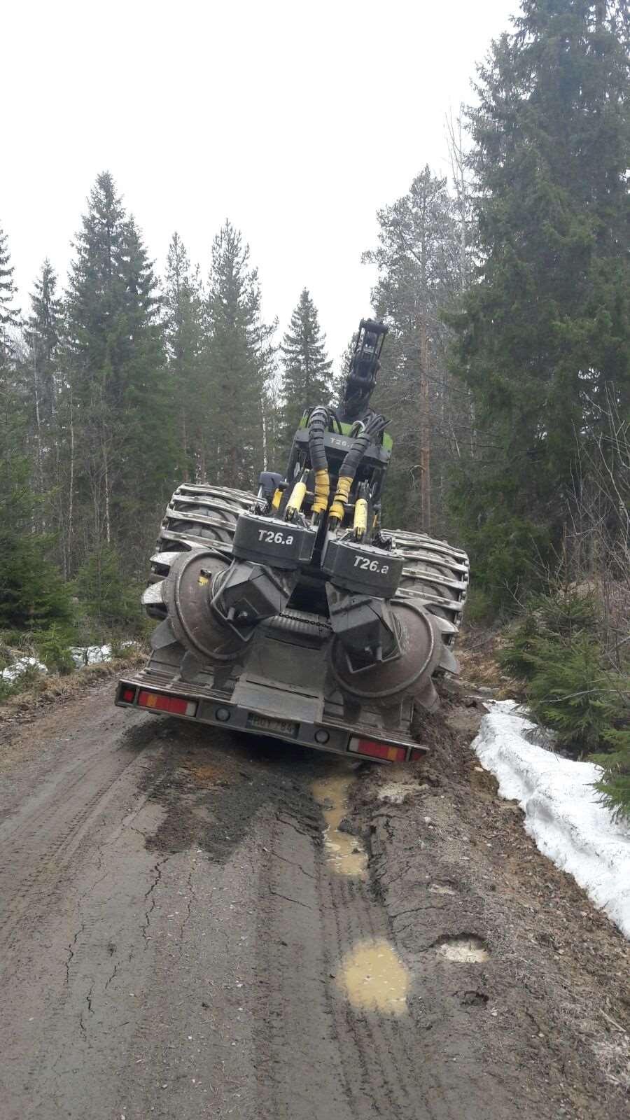 Metsään mennään teitä pitkin Koko tieverkon