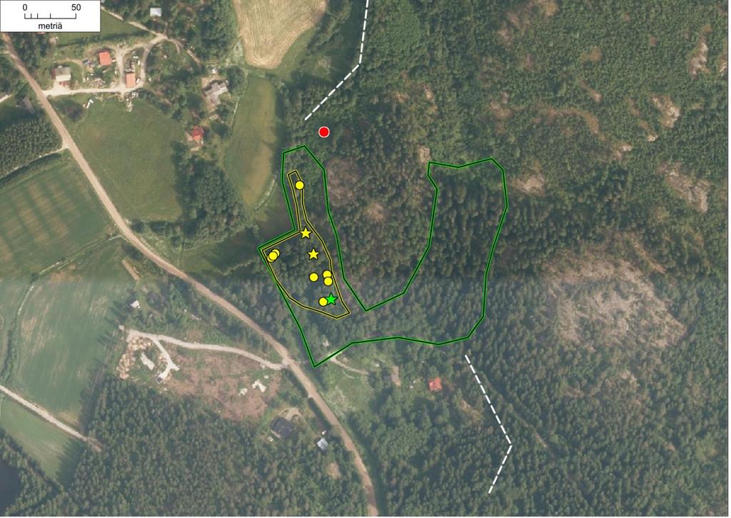 Kuva 4. Liito-oravan elinpiirin ydinalue on rajattu keltaisella ja lajille sovelias metsäalue vihreällä viivalla.