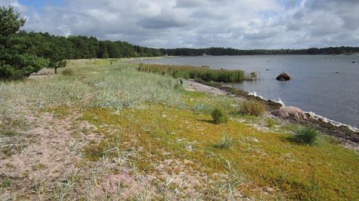 Rannikkoluontotyyppien uhanalaisuus 45 tyyppiä arvioitiin: 58 % uhanalaisia Uhanalaistumisen