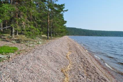 rantaluontotyyppiä, nyt 17 järvien ja jokien