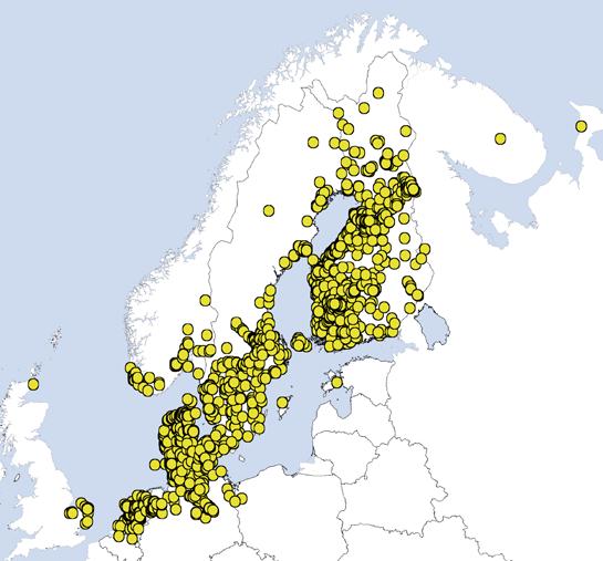 Linnustonseuranta Venäjän Jaroslavlista runsas kolme vuotta myöhemmin 19.9.. Valitettavasti tämän ikäennätyslinnun kerrottiin päätyneen häkkilinnuksi.