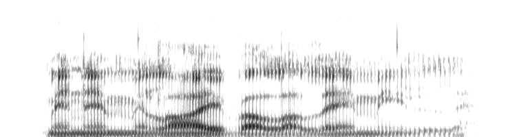 FP1/Clt120 Fonetiikan perusteet Syksy 2006 p. 29/53 Fokus laaja (broad) File:../../wavs/1/071.