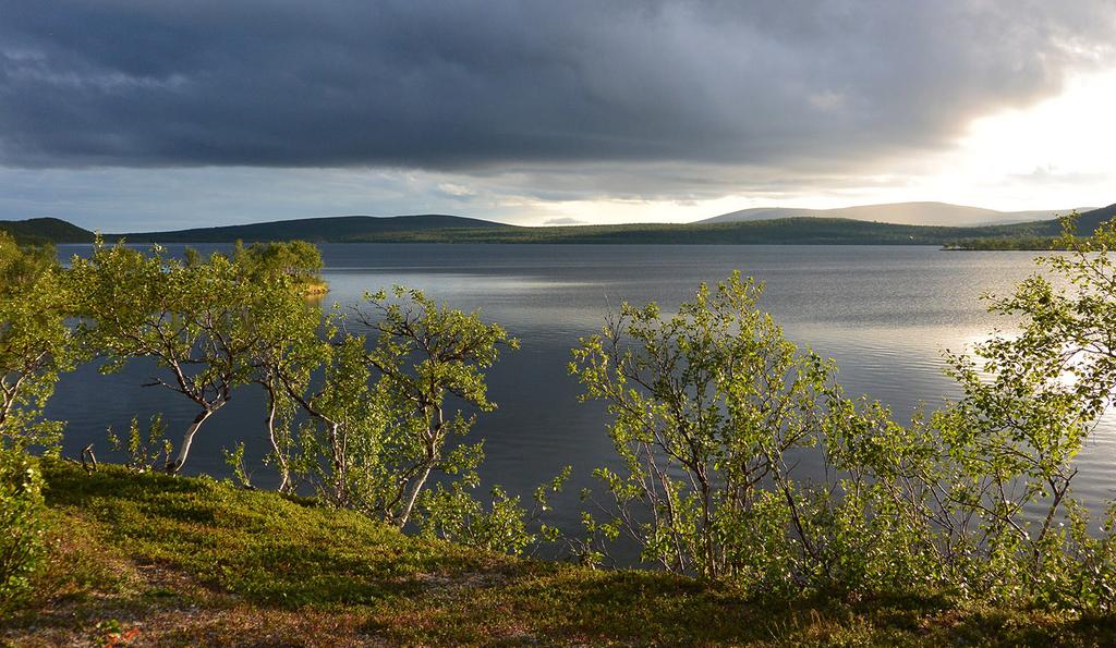 AILIKASTUNTURIN LUONTAISELINKEINOMAISEMAT Maisema-alueen aikaisempi nimi ja arvoluokka: Ehdotettu arvoluokka: Valtakunnallisesti arvokas maisema-alue Kunta: Utsjoki Pinta-ala: 18 985,6 ha