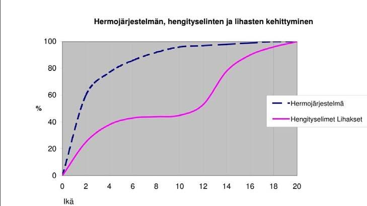 6 eli ilmatiehyiden ympärillä ruston tilalla on sileää lihaskudosta, jotka kouristelevat esimerkiksi astmakohtauksessa (Hiltunen ym. 2009, 356).