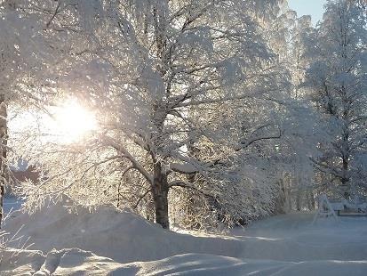 Viikkotiedote 9.2.2018 vko 6 Harjoittelijoita tulvisi ovista ja ikkunoista jos vain olisi majoitusta tarjolla.