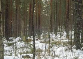 70: 017 / KAUNISHARJU KOSKENNISKA / ASEMAKAAVASELOSTUS 15.11.