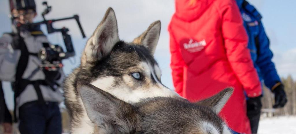 Elokuvatuotantojen vaikutukset Lapin elokuvakomissioon