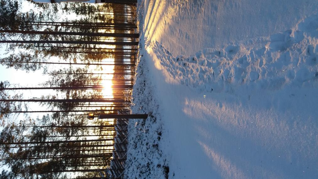 Leirille osallistui neljä perhettä (16 leiriläistä; viisi aikuista, lapsia 11, ikähaarukka 1-9 vuotta), kolme työntekijää ja yksi harjoittelija.