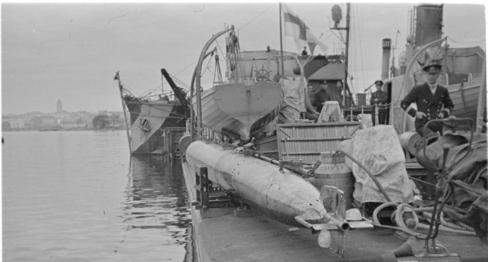 Suomeen oli jäänyt vuonna 1918 Venäjän keisarillisen laivaston käytössä olleita torpedoja, joten materiaaliset edellytykset torpedoalan perustamiselle olivat olemassa.
