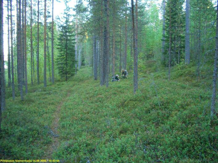 10 Alueen eteläosan länsireunaa kosteikon
