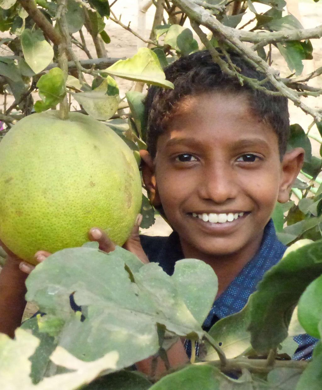 Koti Katulapselle