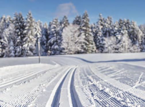 Taloyhtiössä on 22 asuntoa, joihin jokaiseen kuuluu autopaikka ja osassa asunnoista on oma parveke ja sauna.