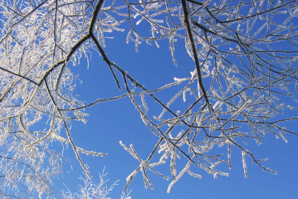 Vipinää Varpaisiin! on Huittisten kaupungin nuoriso- ja liikuntapalveluiden toimintaa, jossa kehitetään liikunnallista nuorisotyötä.