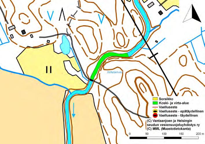 Kuva 12. Hähäänkosken virta-alue. Myllykoski Golf-kentän alueen Pohjoisen Kehätien yläpuolinen osuus on lähinnä hitaasti virtailevaa jokiosuutta. Virta-alueella (pinta-ala n.
