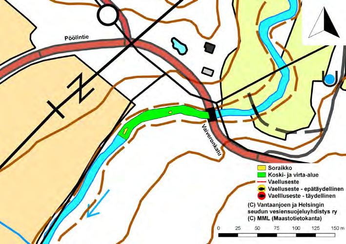 Kuva 18. Vaiveronkosken koski- ja virta-alueet. Kuva 19. Vaiveronkosken koski- ja virta-alueet. 3.