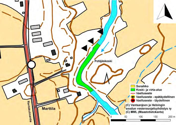 Petäjäskoski Petäjäskosken virta-alue on yhteensä noin 250 m pitkä osuus. Virta-alue (pinta-ala n. 2600 m 2 ) on pääosin syvähköä rännimäistä aluetta.