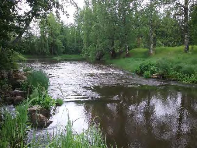 Huhmarinkoski Huhmarinkosken yläosilta löytyy tällä hetkellä yksi kutemiseen sopiva laaja-alaisempi soraikko, joka on peräisin vanhasta viranomaiskunnostuksesta.