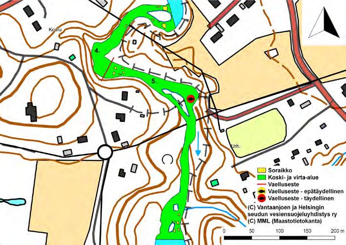 Kuva 31. Nukarin koskien Koulunkosken (4.) ja Vanhantammenkosken (5.) koski- ja virta-alueet. Koskien välinen raja menee laavusuvannon kohdalla (kartassa punainen viiva).
